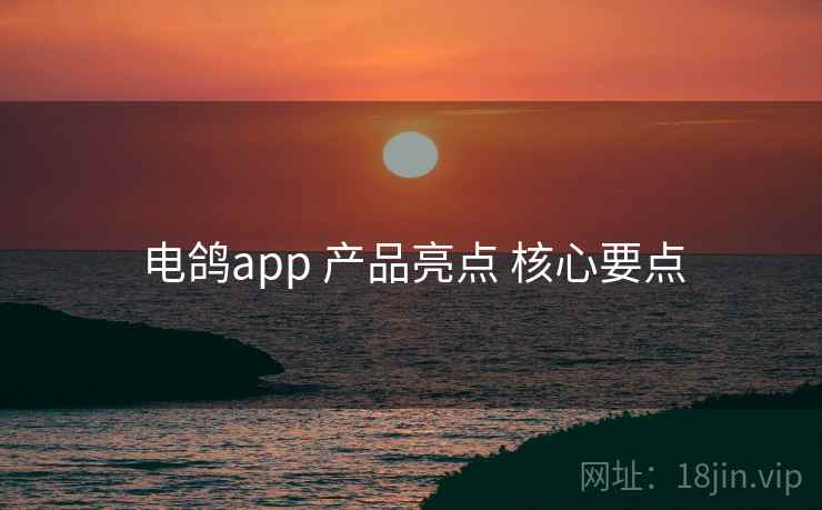 电鸽app 产品亮点 核心要点 电鸽app 产品亮点 核心要点