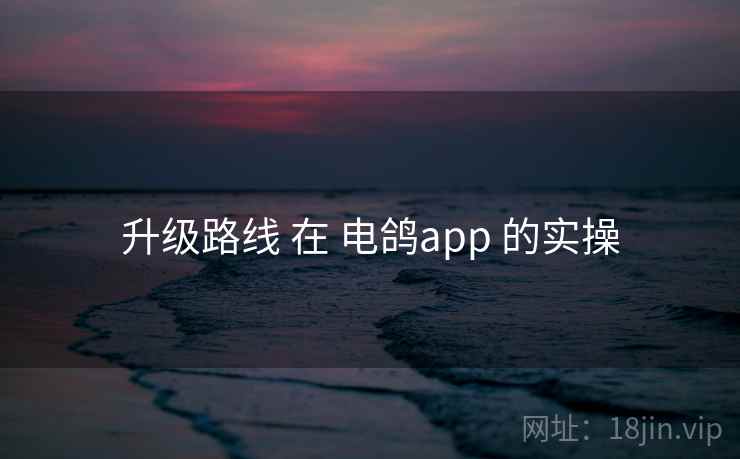 升级路线 在 电鸽app 的实操 升级路线 在 电鸽app 的实操