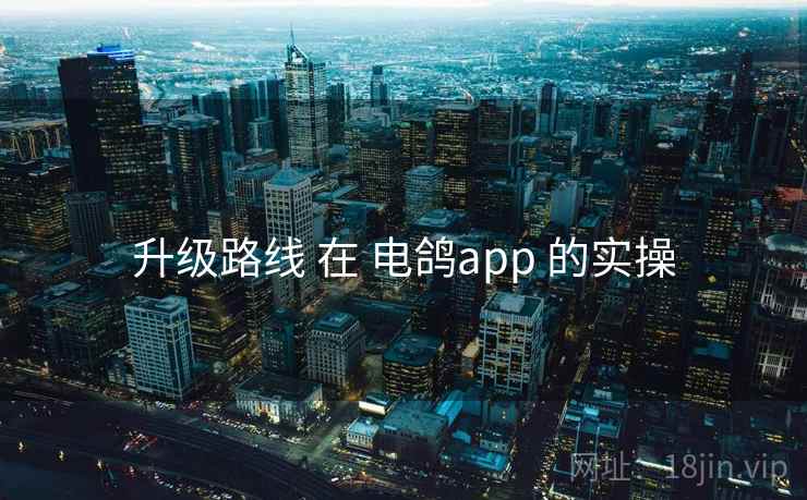 升级路线 在 电鸽app 的实操
