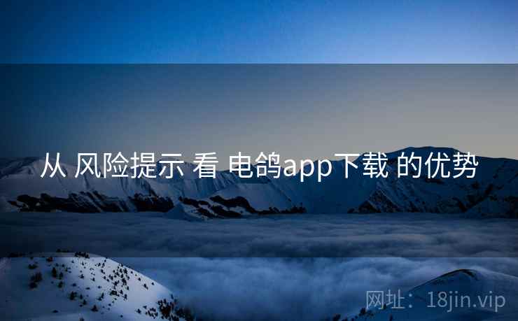 从 风险提示 看 电鸽app下载 的优势
