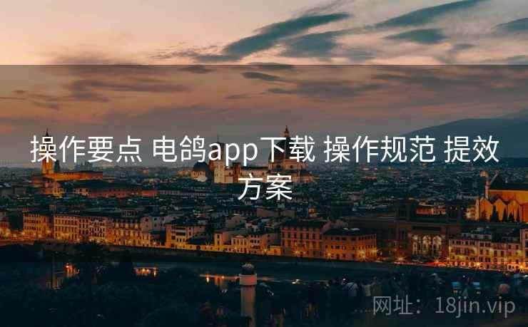 操作要点 电鸽app下载 操作规范 提效方案