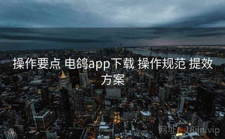 操作要点 电鸽app下载 操作规范 提效方案 操作要点 电鸽app下载 操作规范 提效方案