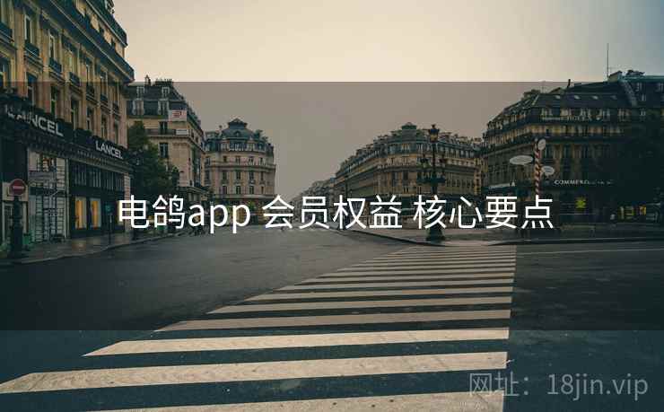 电鸽app 会员权益 核心要点 电鸽app 会员权益 核心要点