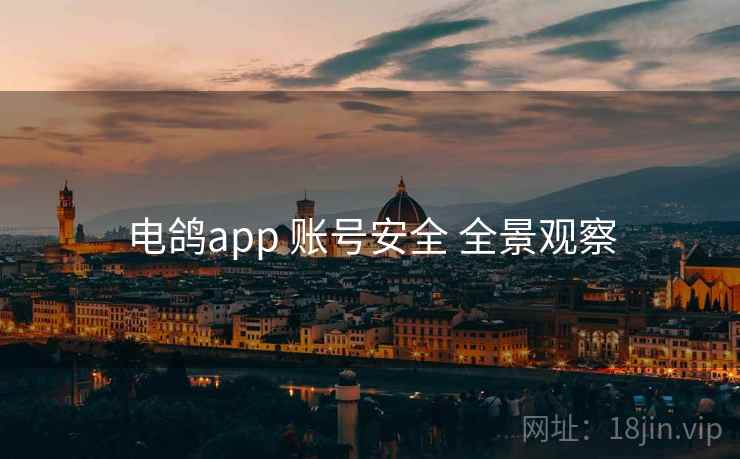 电鸽app 账号安全 全景观察